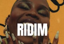 Download Freebeat: Ridim (Prod. by Sdbeatz)