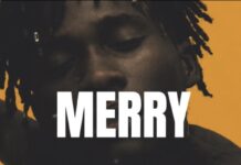 Download Freebeat: Merry (Prod. by Sdbeatz)