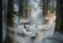 Omah lay & Chike type Beat – in the MIST 2026 (Beat By Eastern records)
