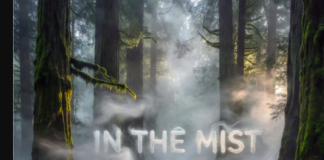 Omah lay & Chike type Beat – in the MIST 2026 (Beat By Eastern records)
