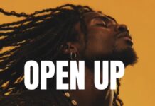 Download Freebeat: Open Up – Ayra Starr Beat (Prod. by Sdbeatz)